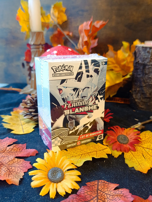 Bundle EV10.5 flamme blanche