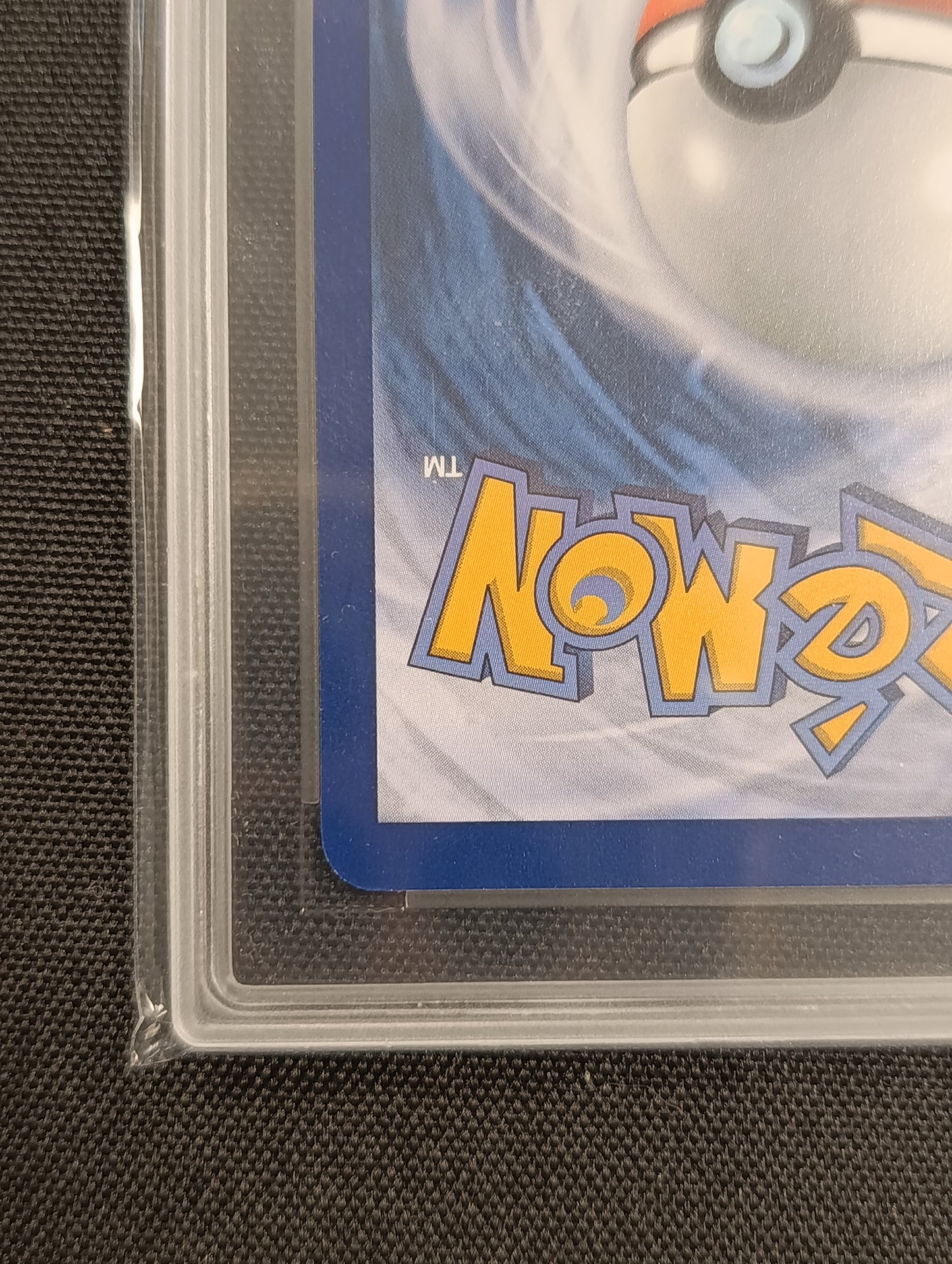 Noctali gradée CCC 9.5