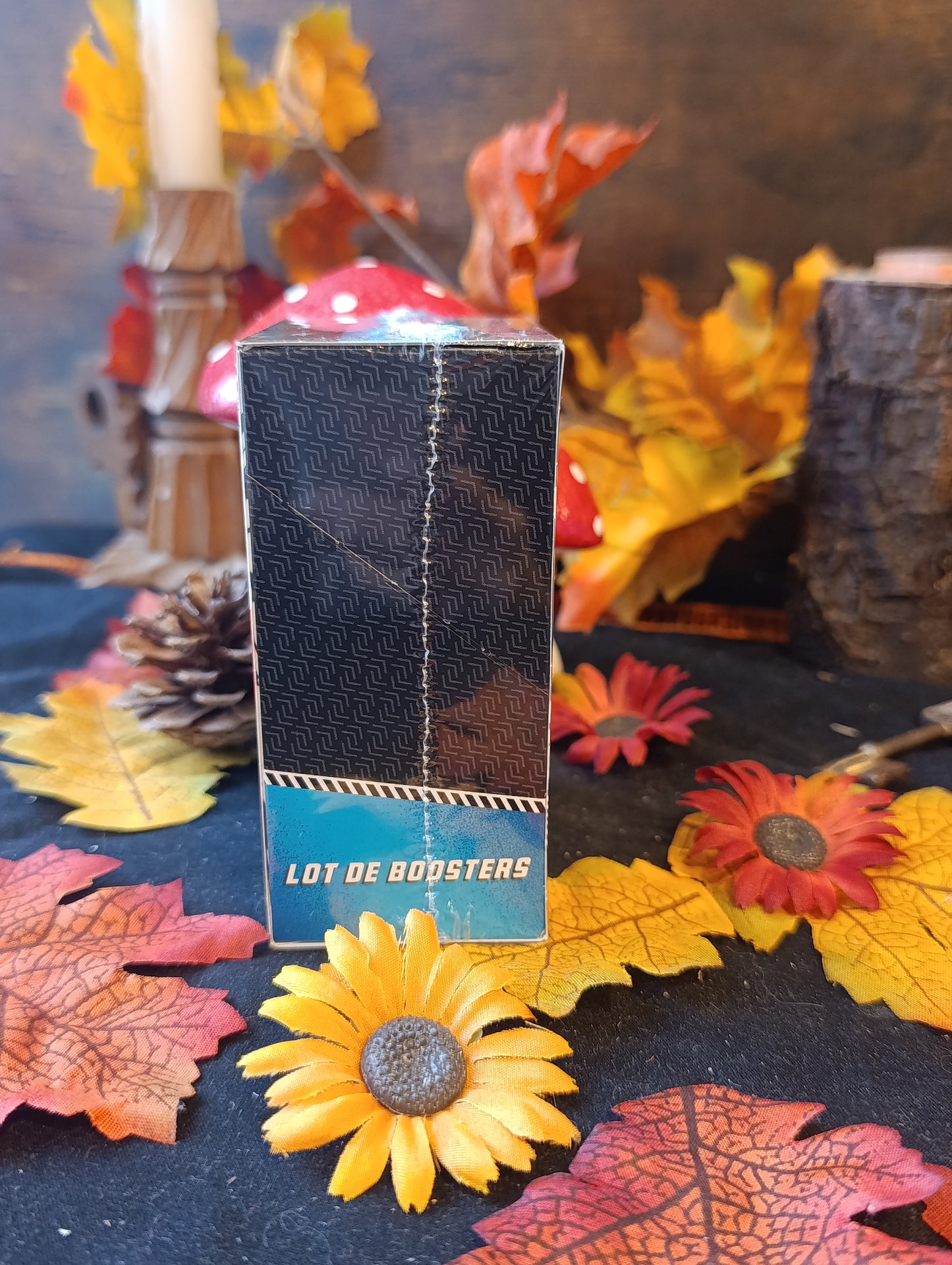 Bundle EV10.5 foudre noire