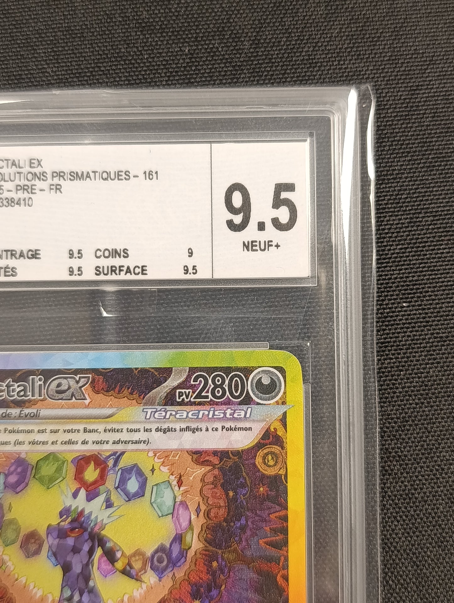 Noctali gradée CCC 9.5