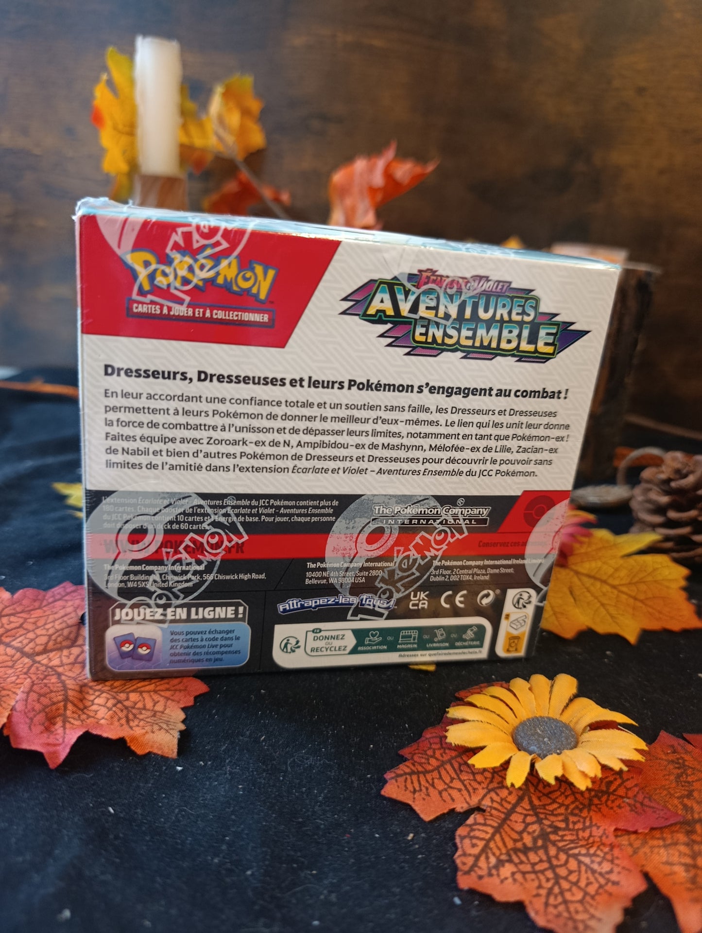 Display EV09 aventures ensemble