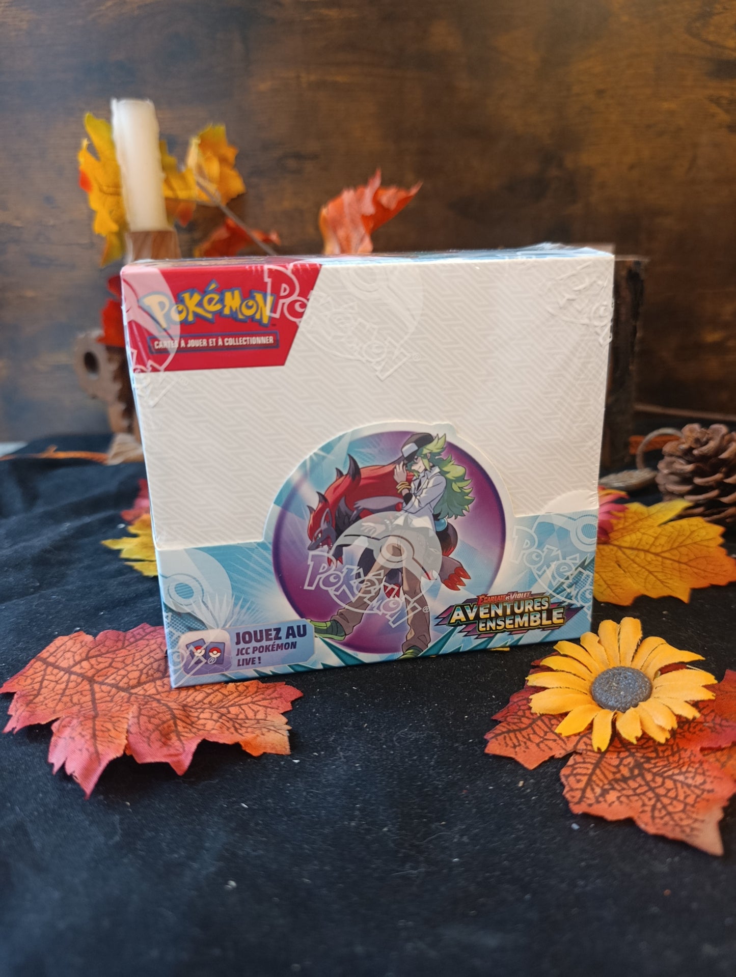 Display EV09 aventures ensemble